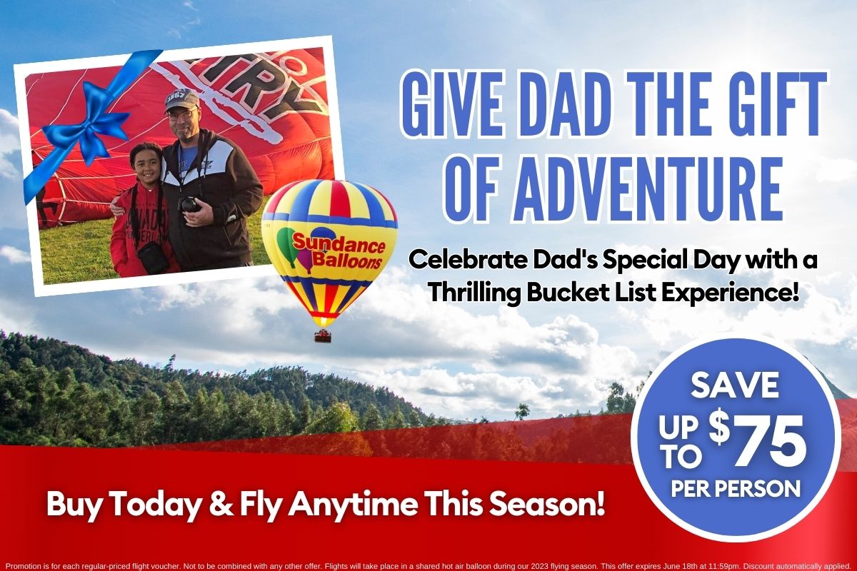 Father's Day Promo