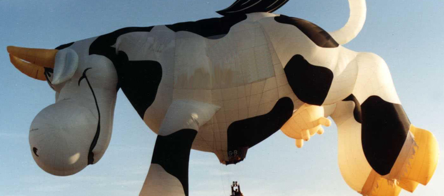 Picture of a cow hot air balloon flying