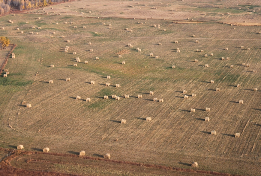 Picture from above a field